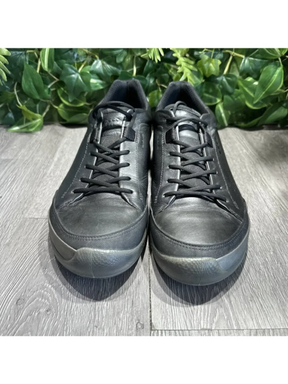 Ecco please check